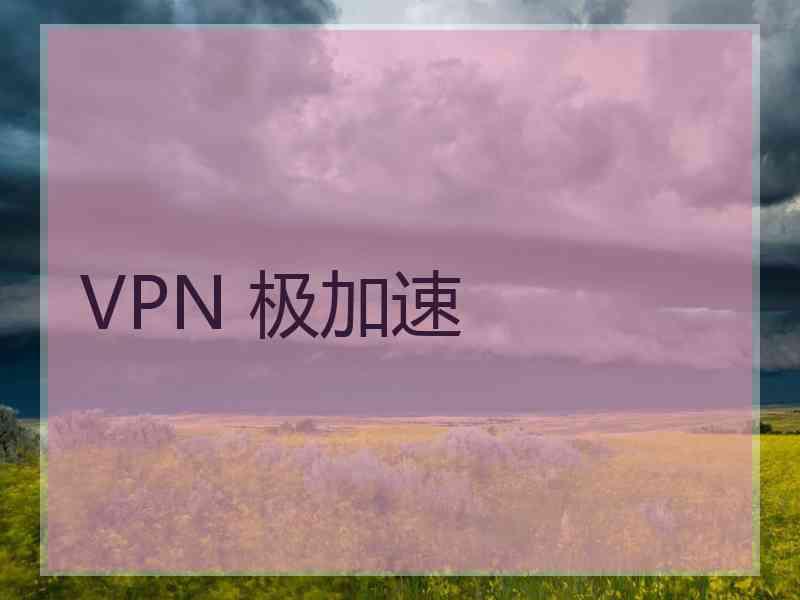 VPN 极加速