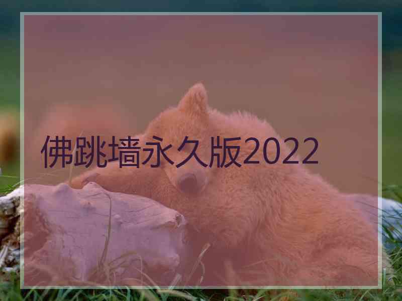 佛跳墙永久版2022