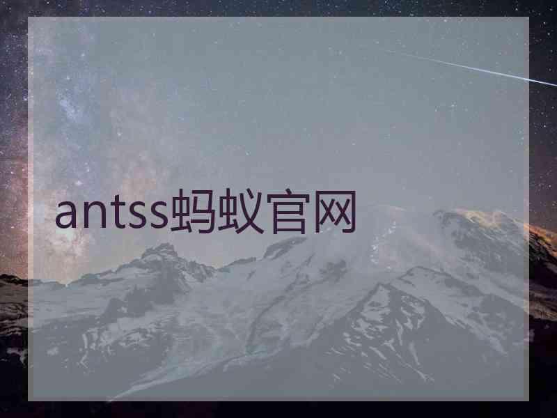 antss蚂蚁官网