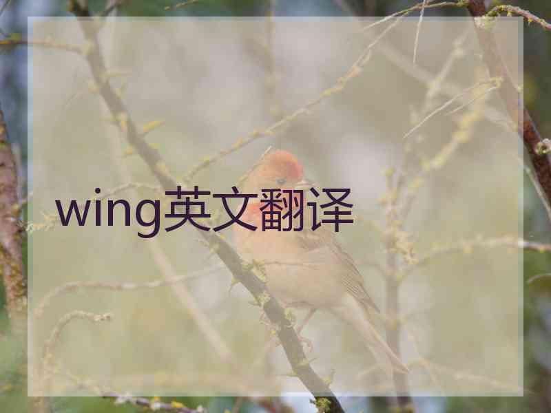 wing英文翻译