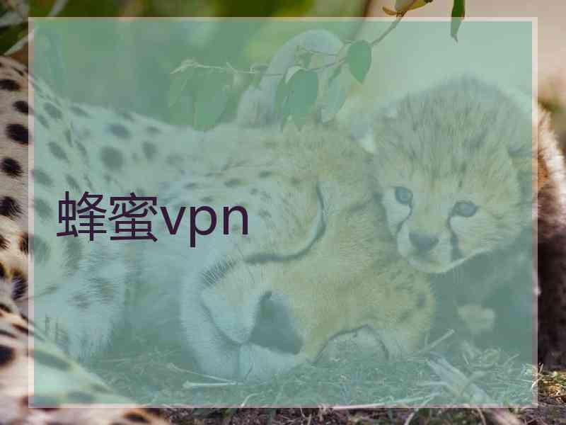 蜂蜜vpn