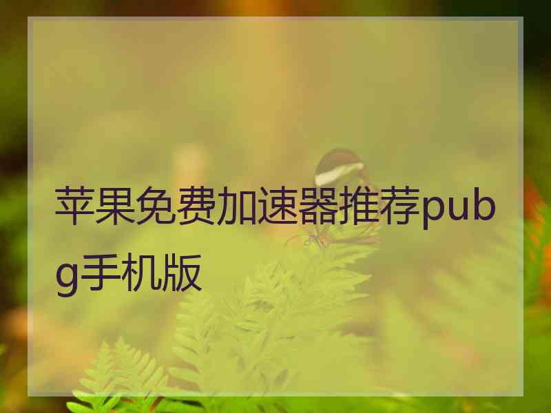 苹果免费加速器推荐pubg手机版