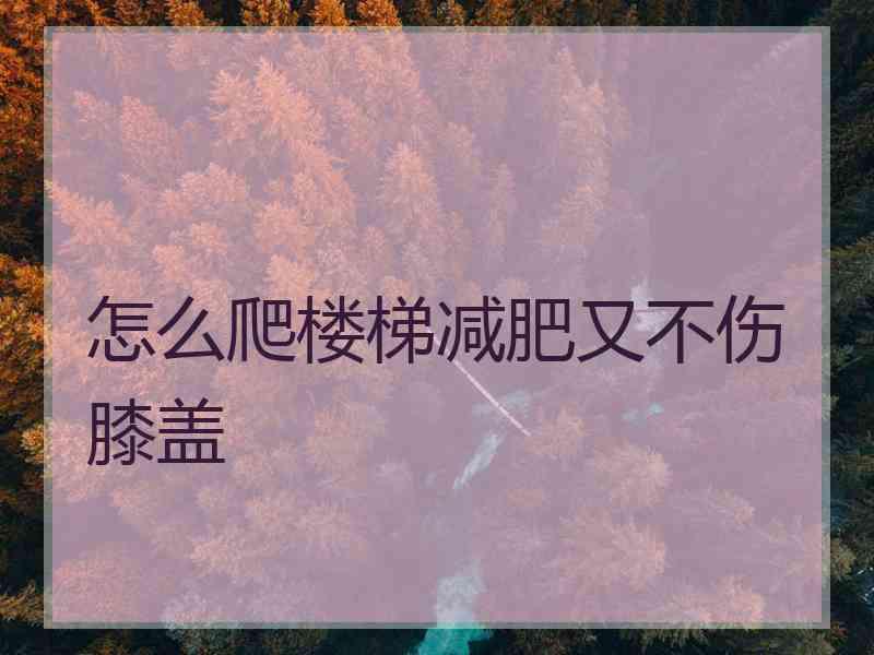 怎么爬楼梯减肥又不伤膝盖