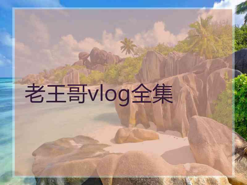 老王哥vlog全集