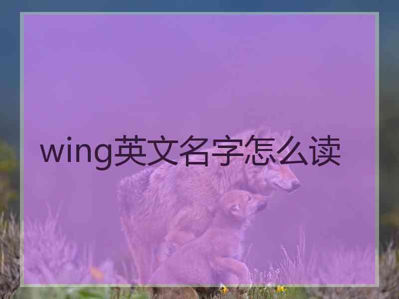 wing英文名字怎么读