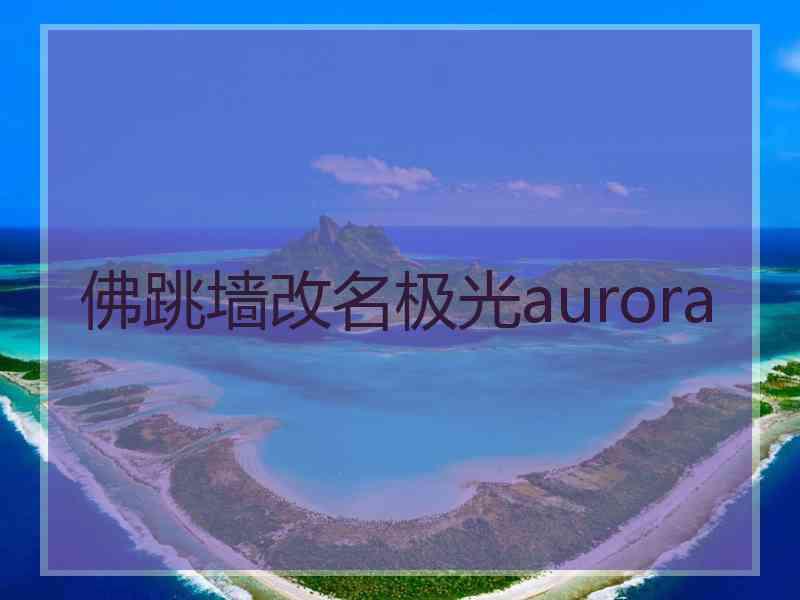 佛跳墙改名极光aurora