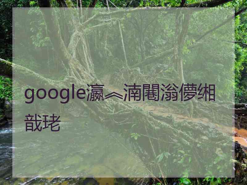 google瀛︽湳闀滃儚缃戠珯