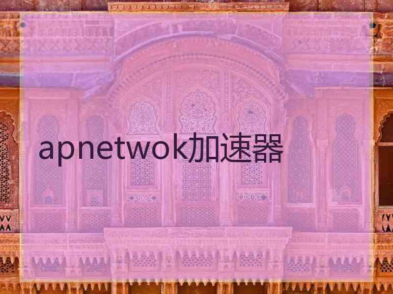 apnetwok加速器