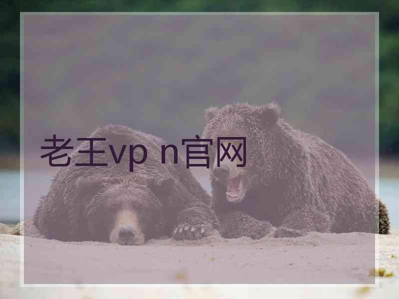 老王vp n官网