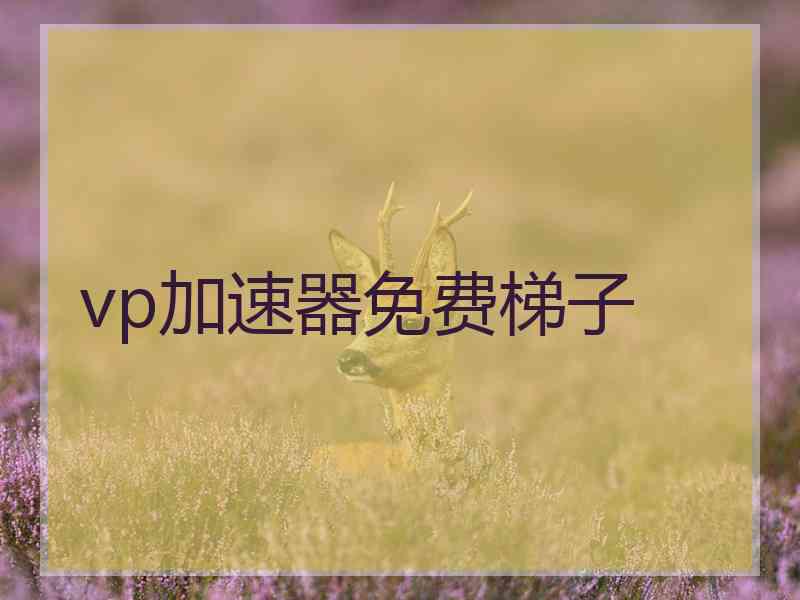 vp加速器免费梯子