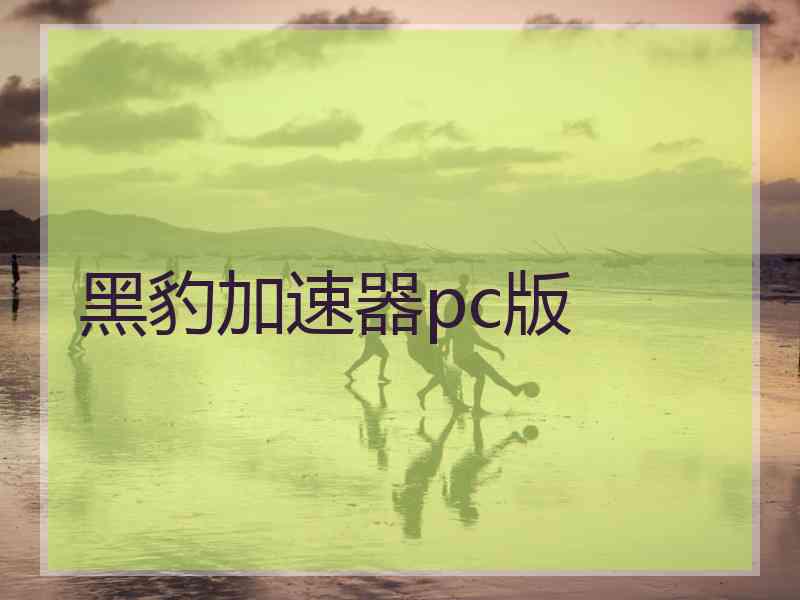 黑豹加速器pc版