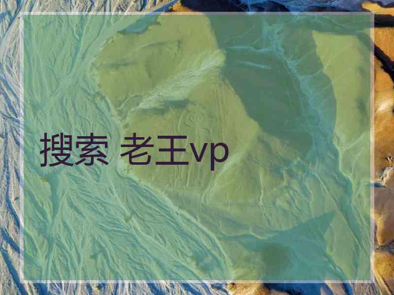 搜索 老王vp