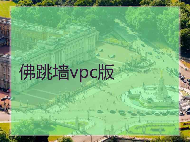 佛跳墙vpc版