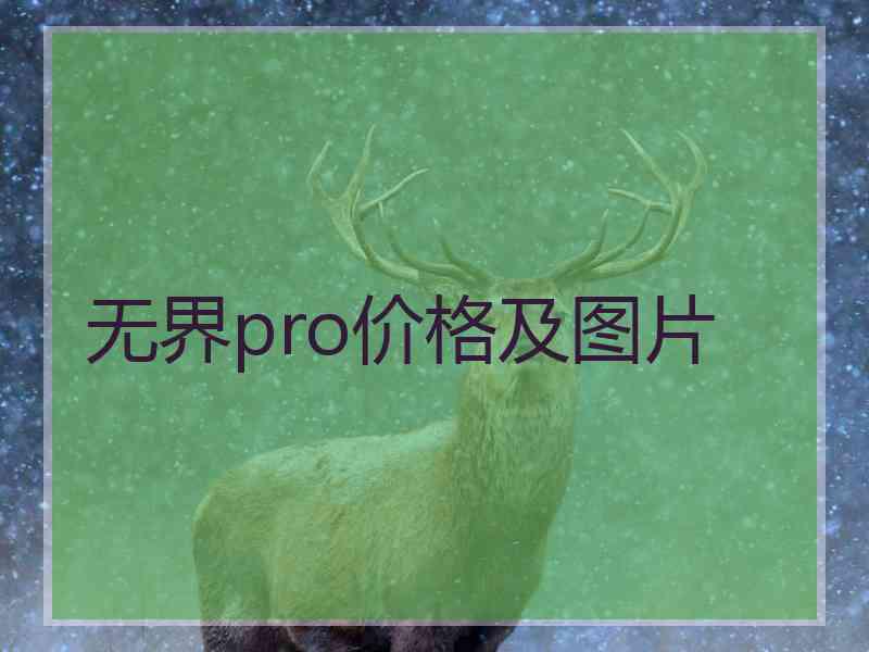 无界pro价格及图片