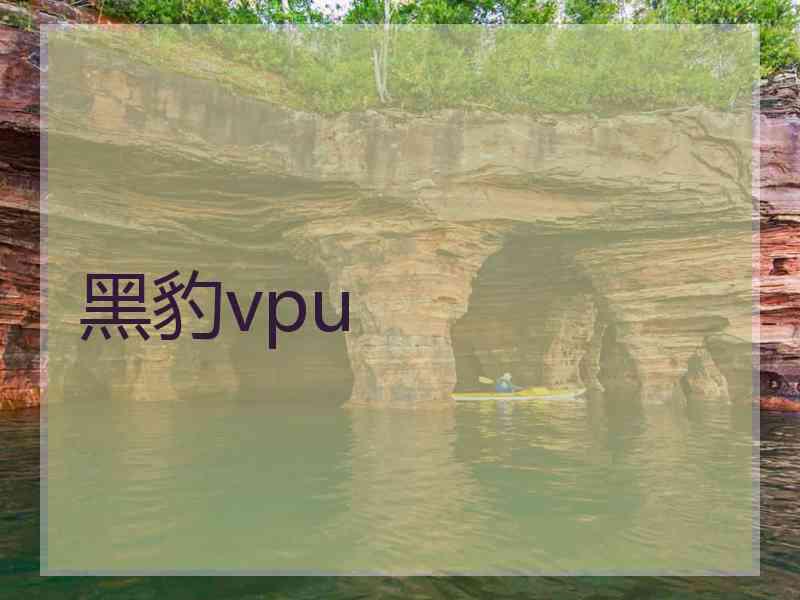 黑豹vpu