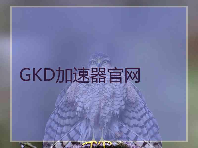 GKD加速器官网