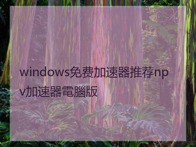 windows免费加速器推荐npv加速器電腦版