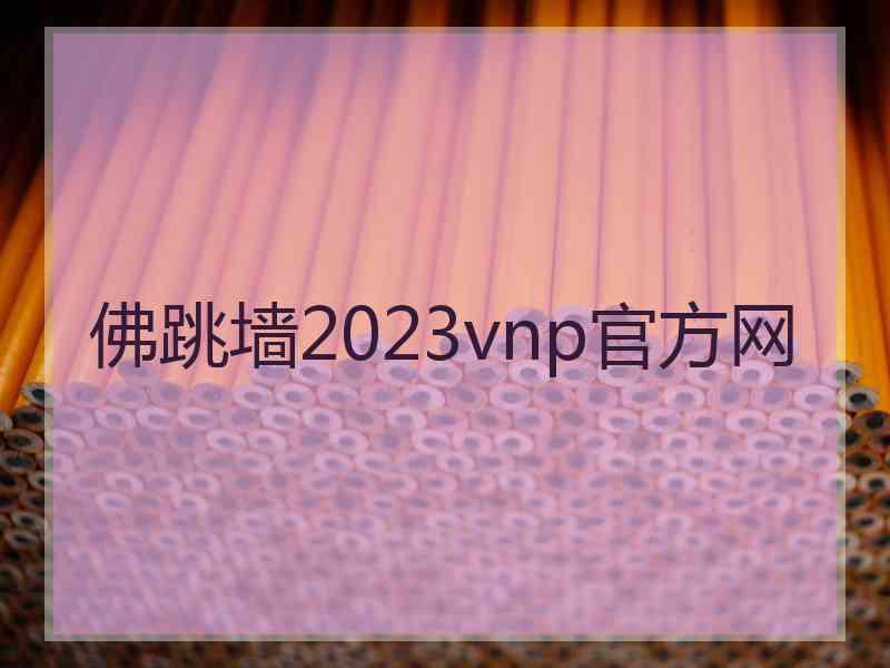 佛跳墙2023vnp官方网