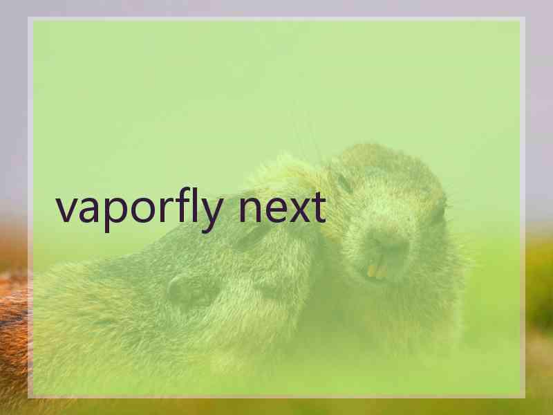 vaporfly next