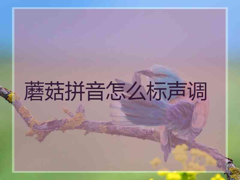 蘑菇拼音怎么标声调