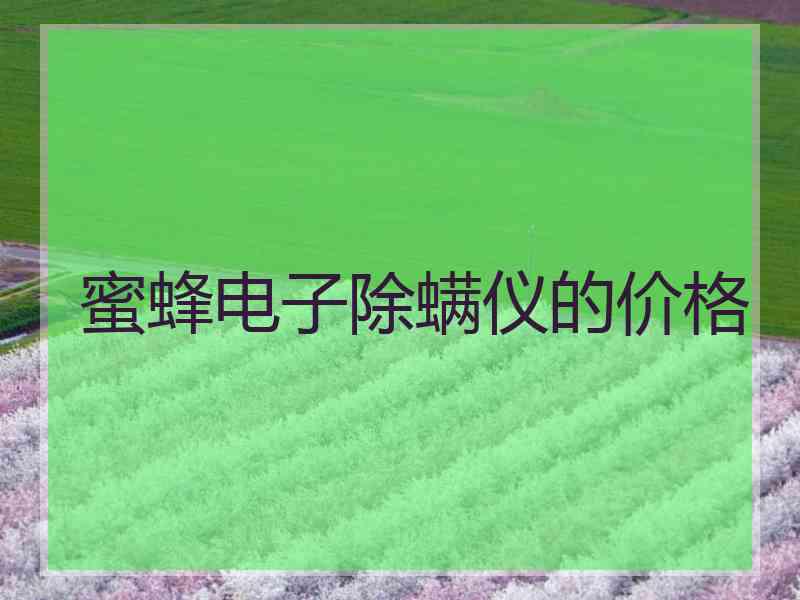 蜜蜂电子除螨仪的价格