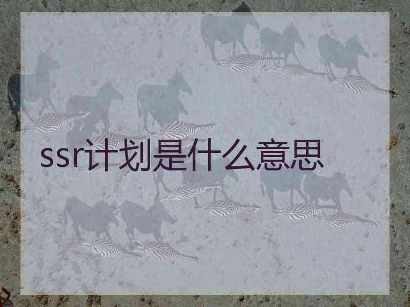 ssr计划是什么意思