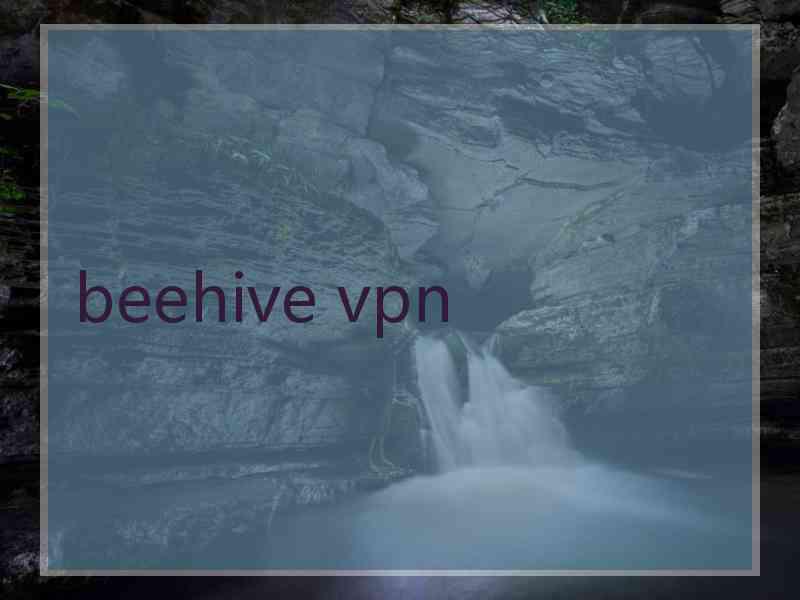 beehive vpn