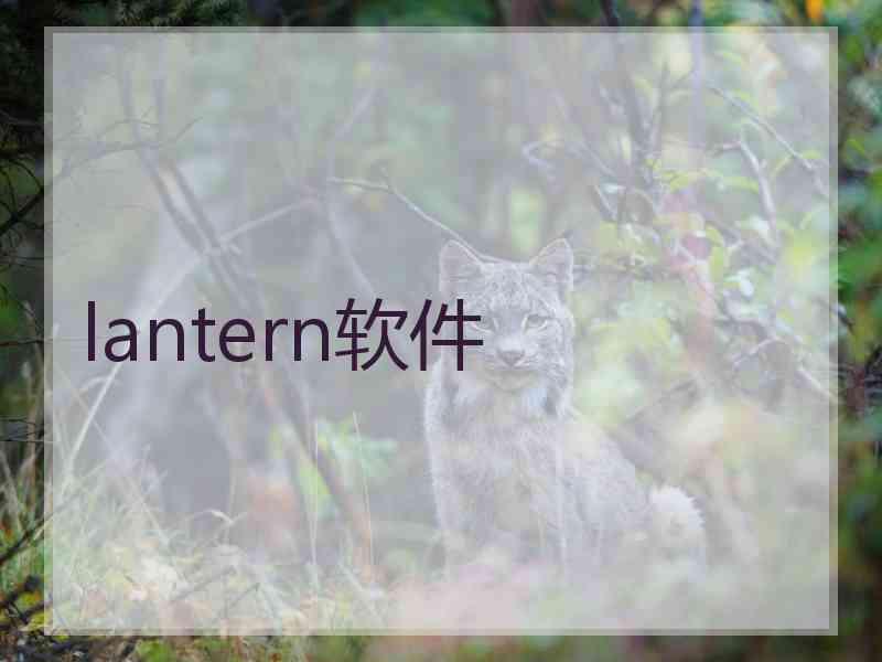 lantern软件