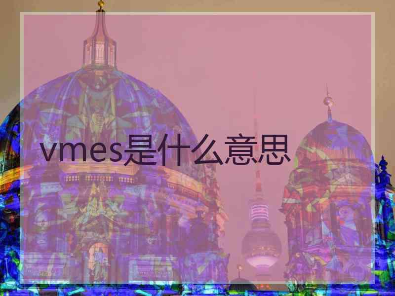 vmes是什么意思