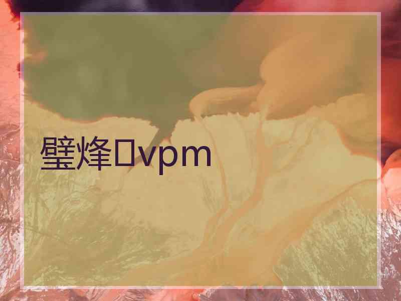 璧烽vpm