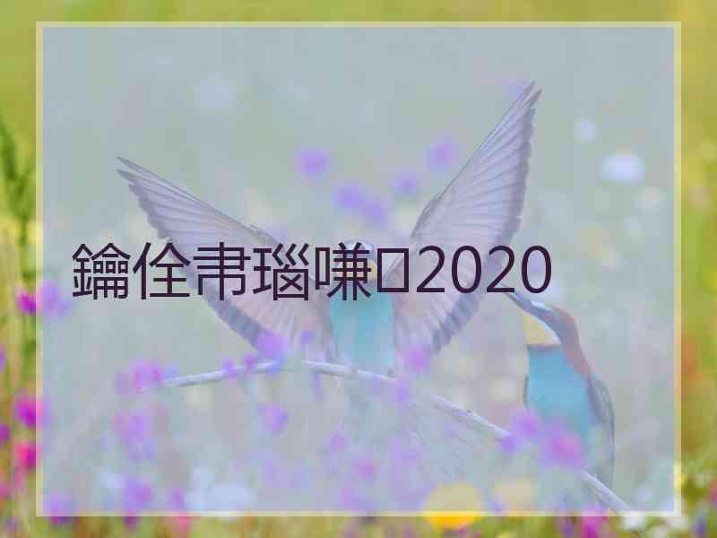 鑰佺帇瑙嗛2020