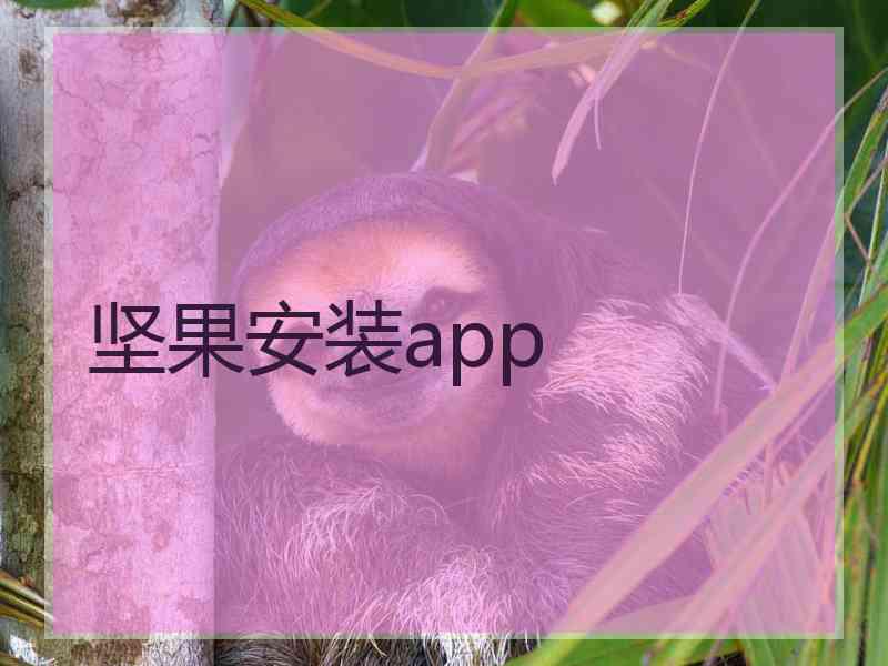 坚果安装app