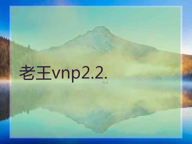 老王vnp2.2.