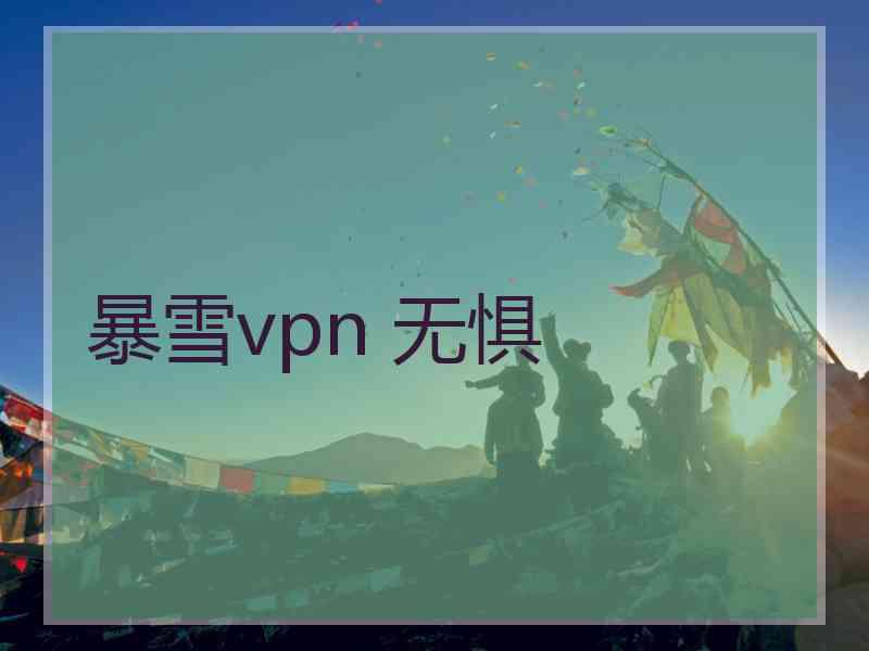 暴雪vpn 无惧