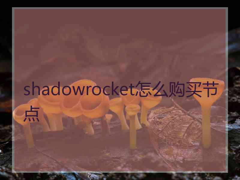 shadowrocket怎么购买节点