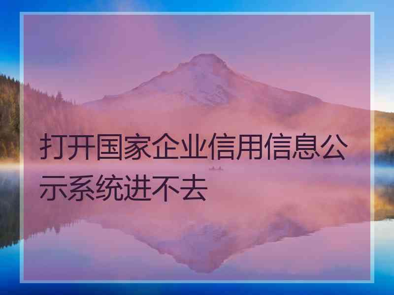 打开国家企业信用信息公示系统进不去