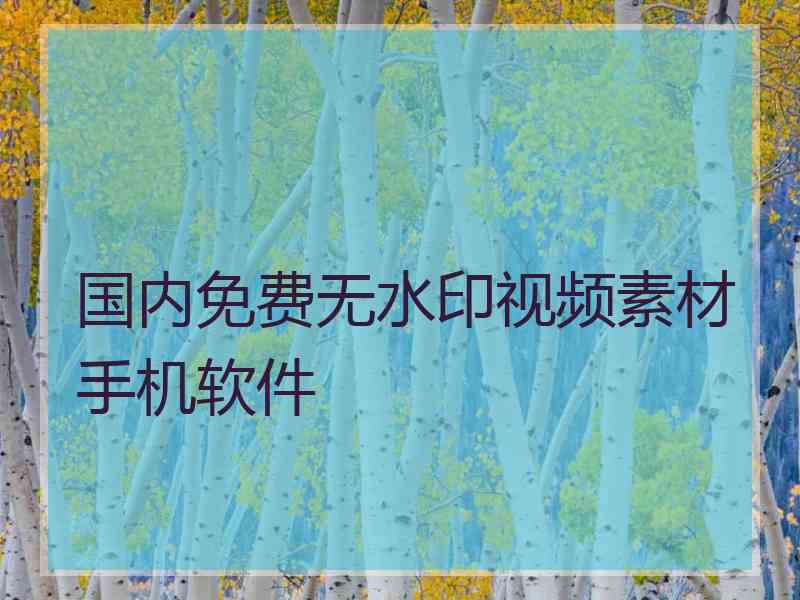 国内免费无水印视频素材手机软件