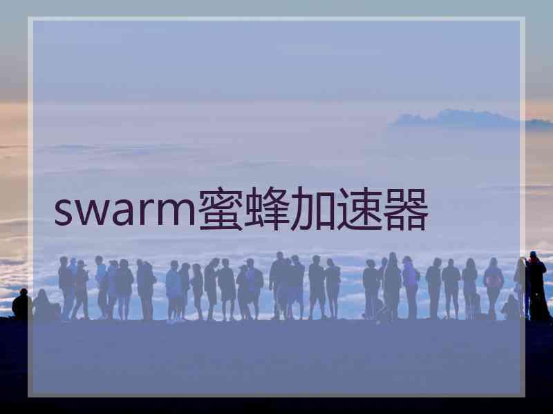 swarm蜜蜂加速器