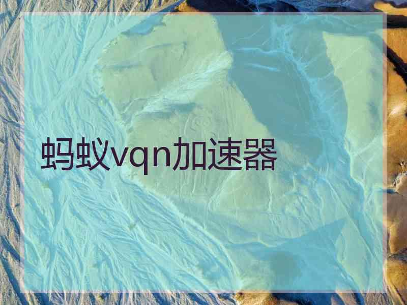 蚂蚁vqn加速器