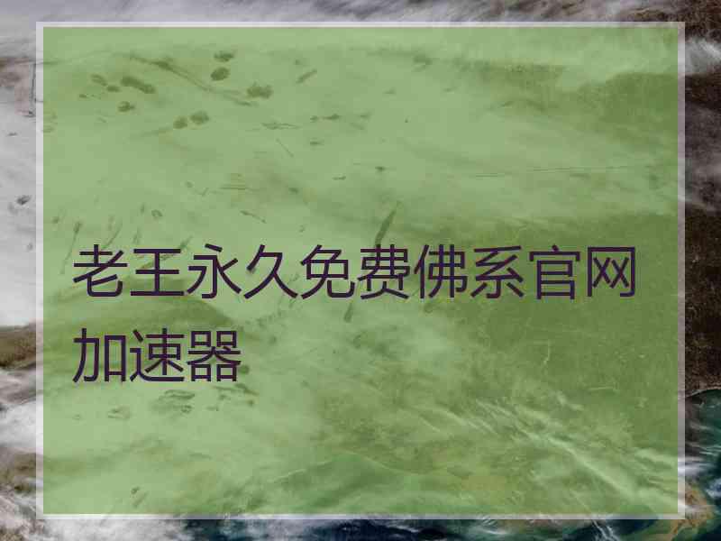 老王永久免费佛系官网加速器