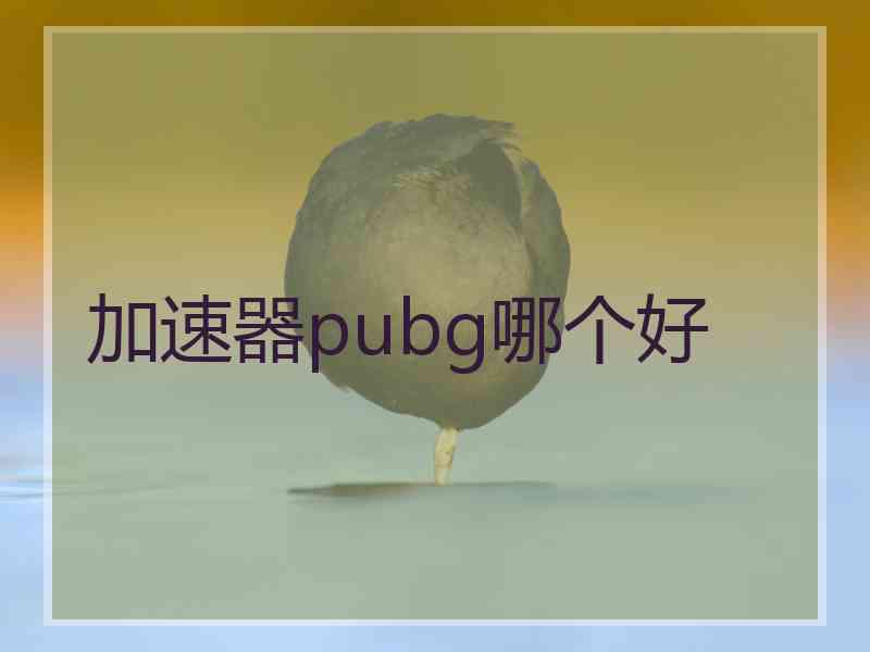 加速器pubg哪个好