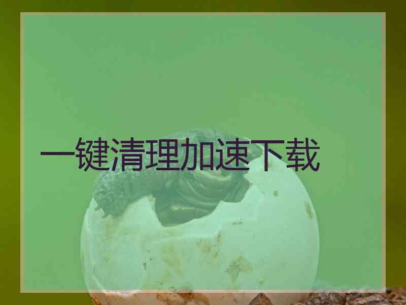 一键清理加速下载