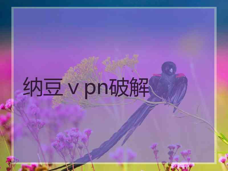 纳豆ⅴpn破解