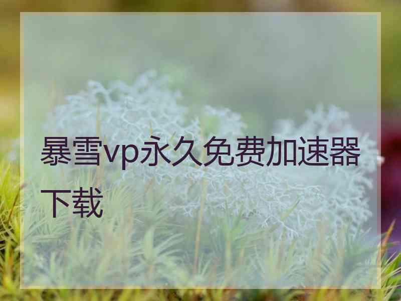 暴雪vp永久免费加速器下载