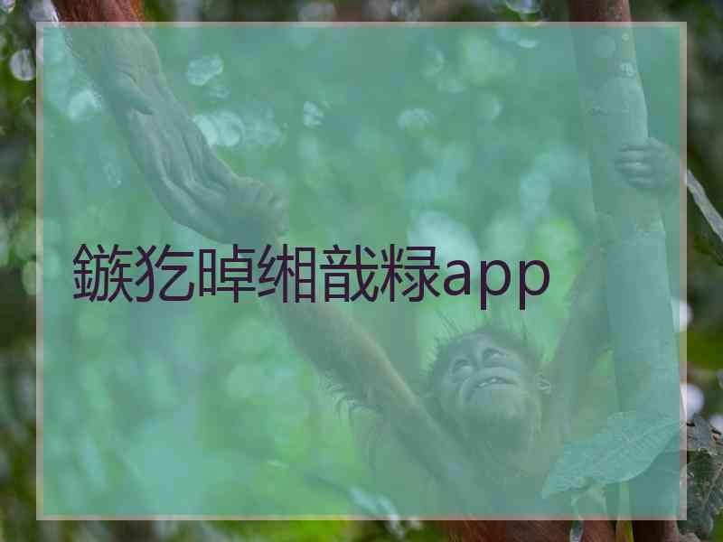 鏃犵晫缃戠粶app