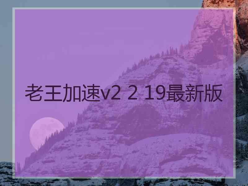 老王加速v2 2 19最新版