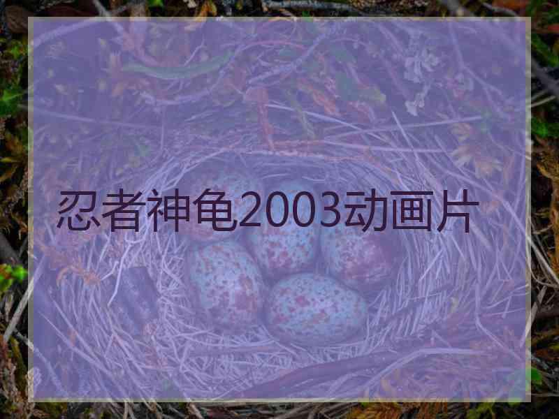 忍者神龟2003动画片