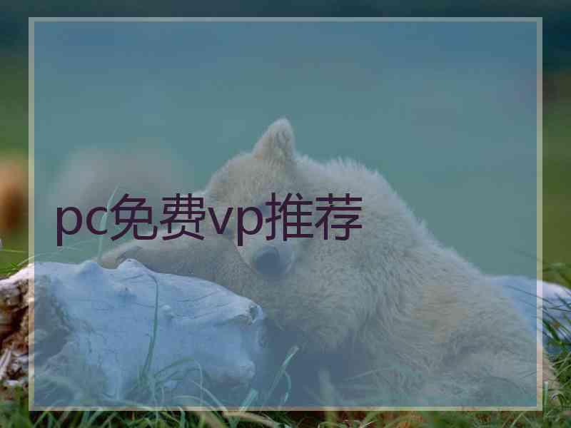 pc免费vp推荐