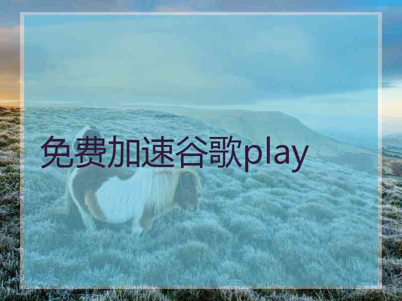 免费加速谷歌play