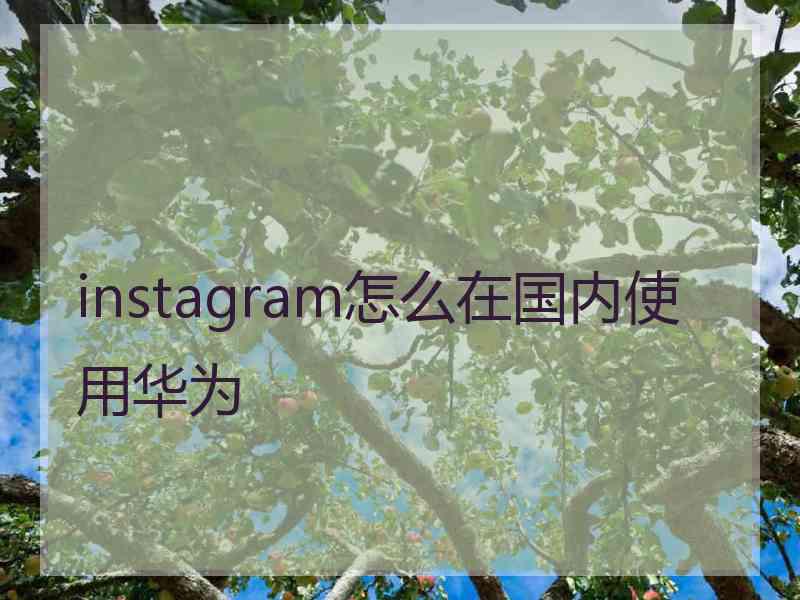 instagram怎么在国内使用华为